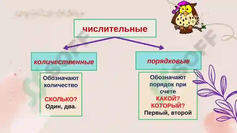 Имя числительное 3