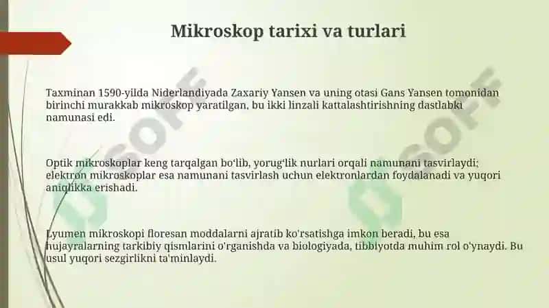 Mikroskop 3