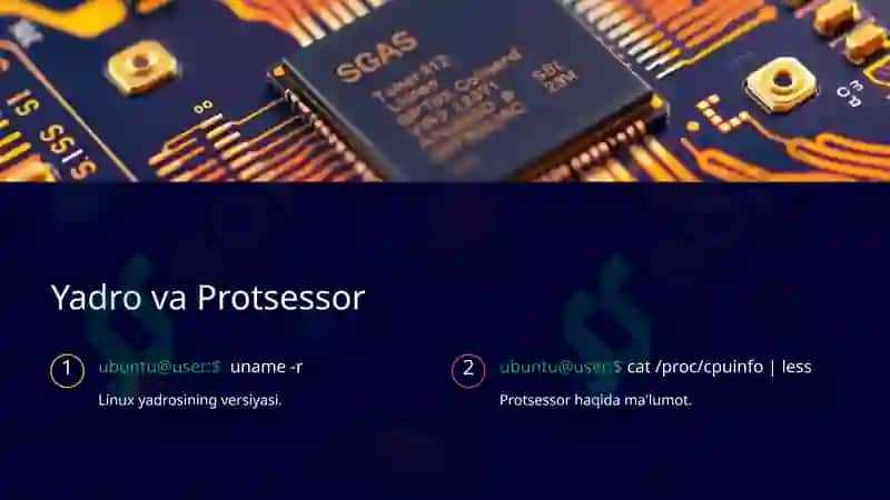 Linux Buyruq Qatori: Asosiy Qo'llanma 3