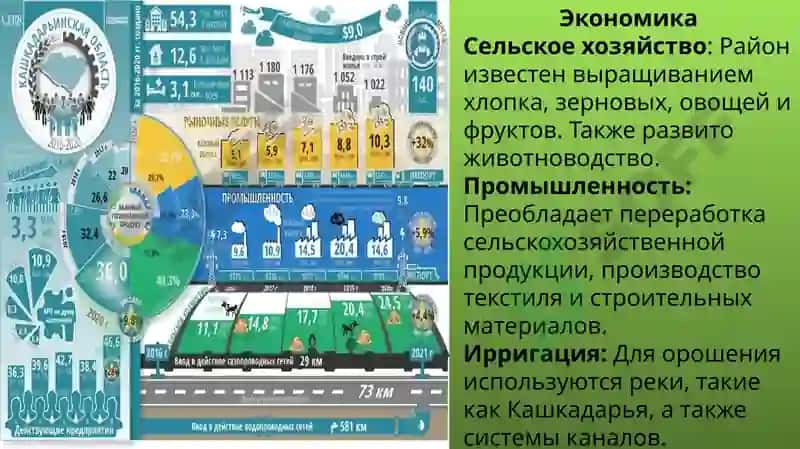 Камашинский район 3