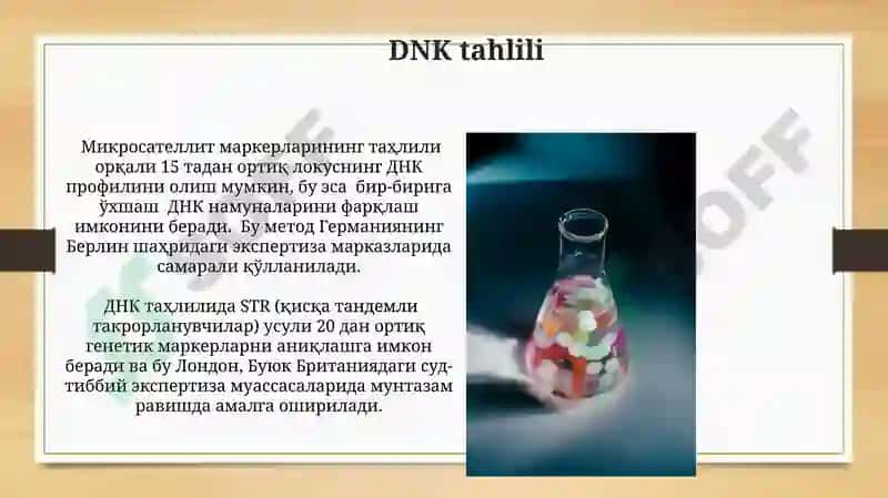 DNK tahlili 3