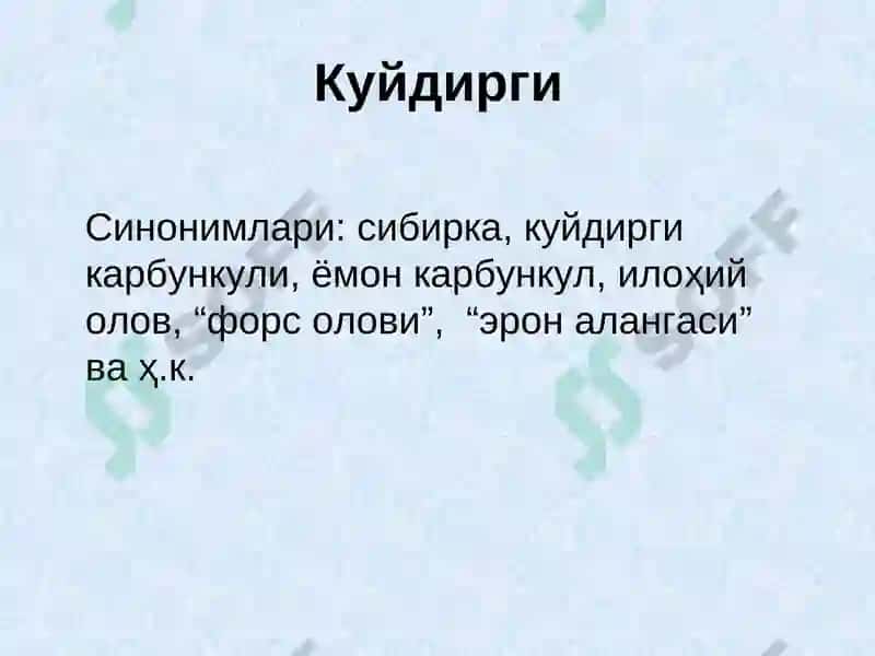 Kuydirgi (Anthrax) 3