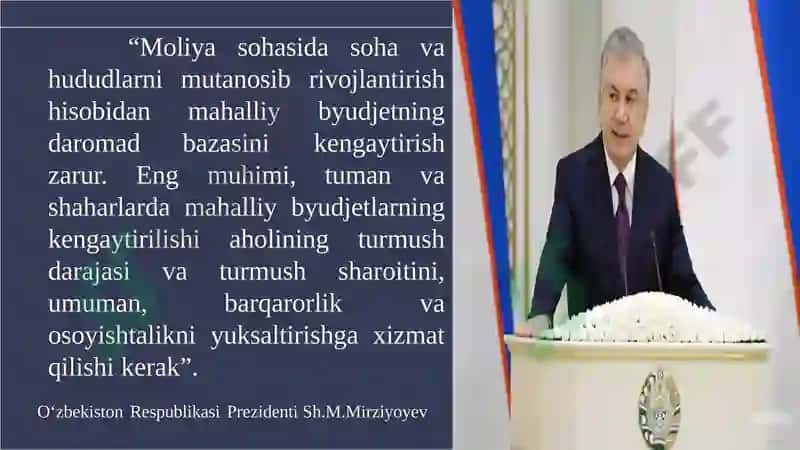 Mahalliy budjetlar mavzusida taqdimot 3