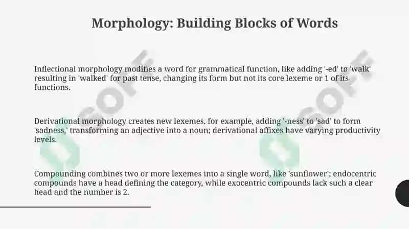 Morphology: Building Blocks of Words 3