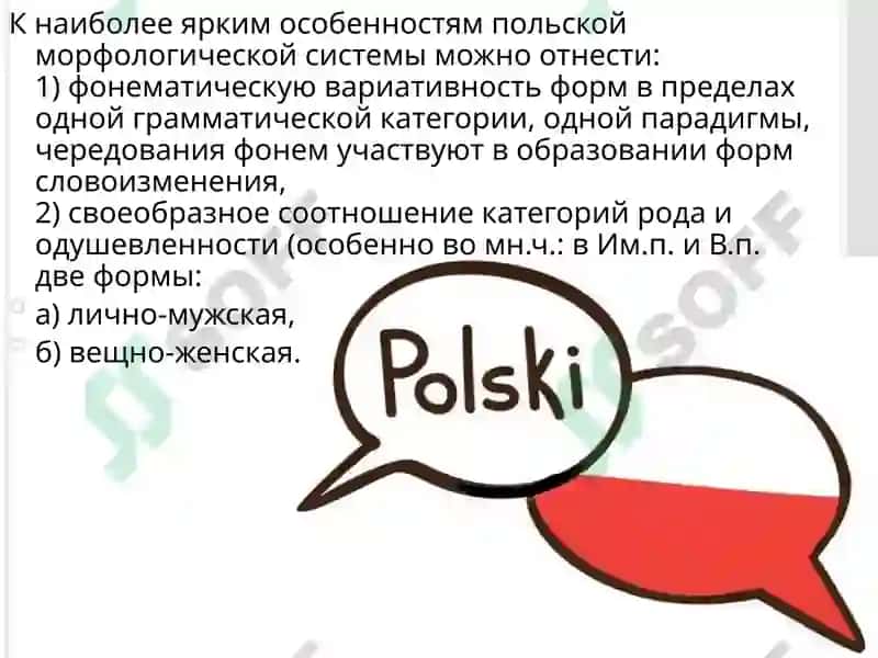 Польский язык 3