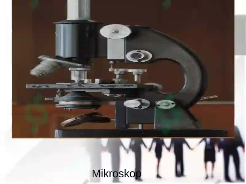 Mikroskop 3