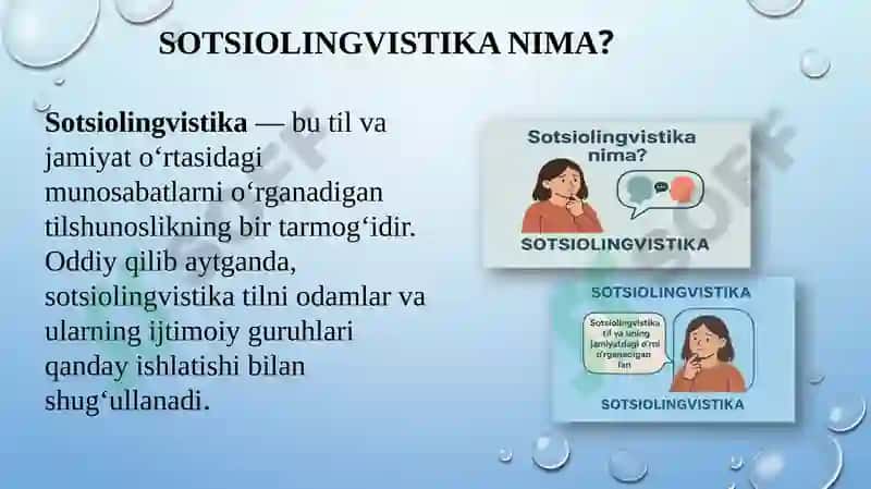 Sotsiolingvistika  tarmoqlari 3