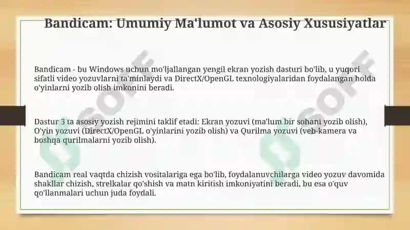 Bandicam 3