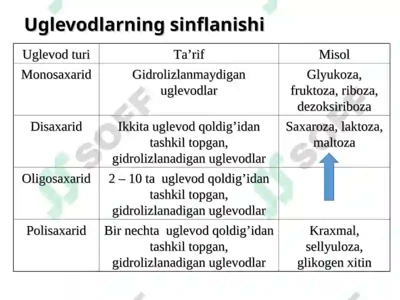Uglevodlar Sho'rchi 2024 3