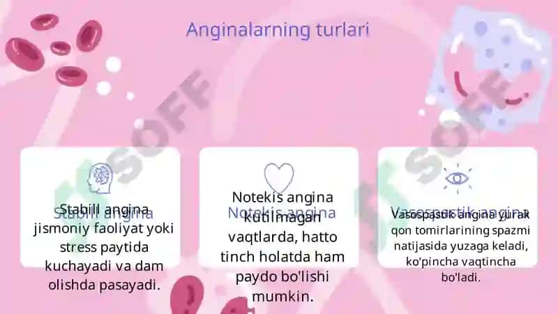 Anginalar 3