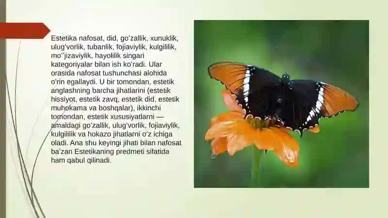 Estetikaning zamonaviy yo’nalishlari 3