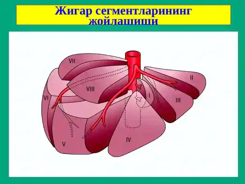 Жигар хирургик касалликлари 3