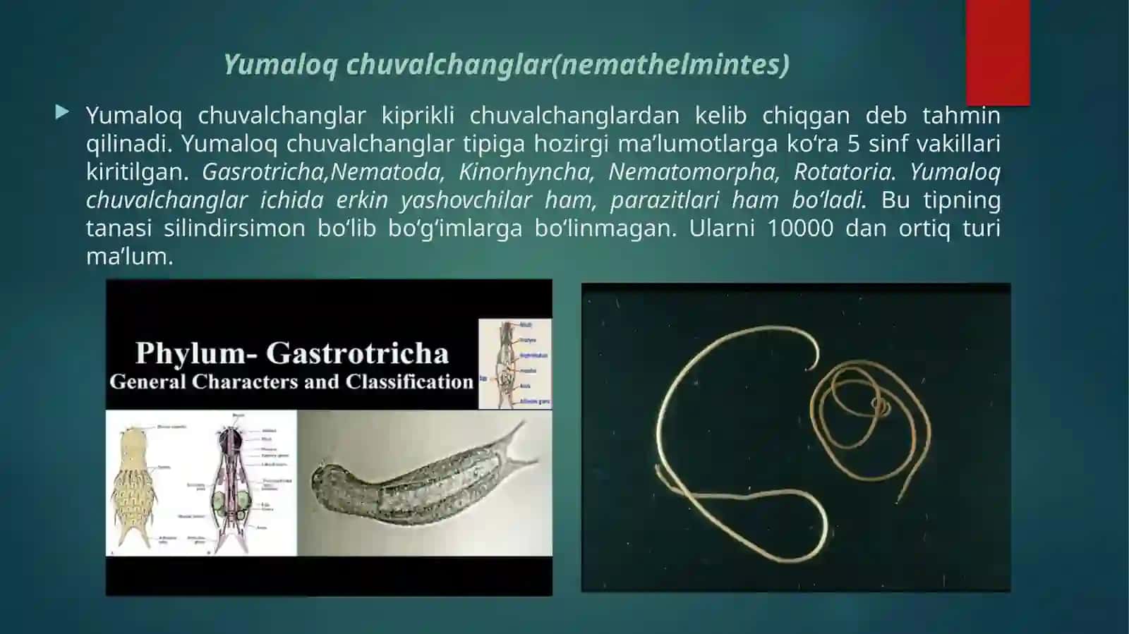 Yumaloq chuvalchanglar 3