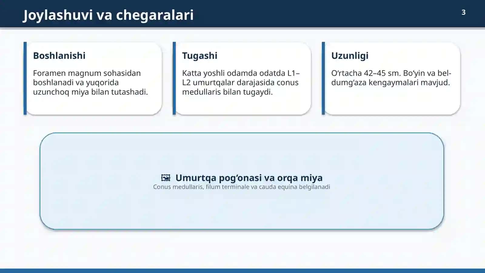 ORQA MIYAANATOMIYASI 3
