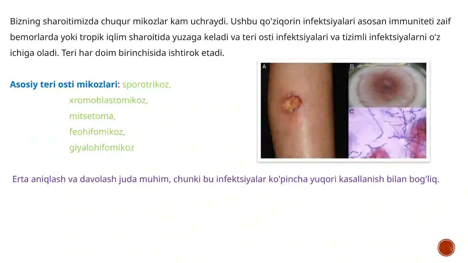 Chuqurmikozlar 3