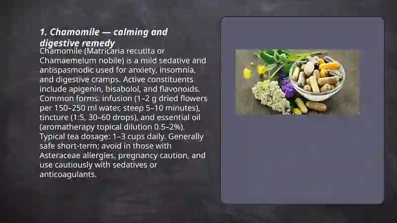 Chamomile 3