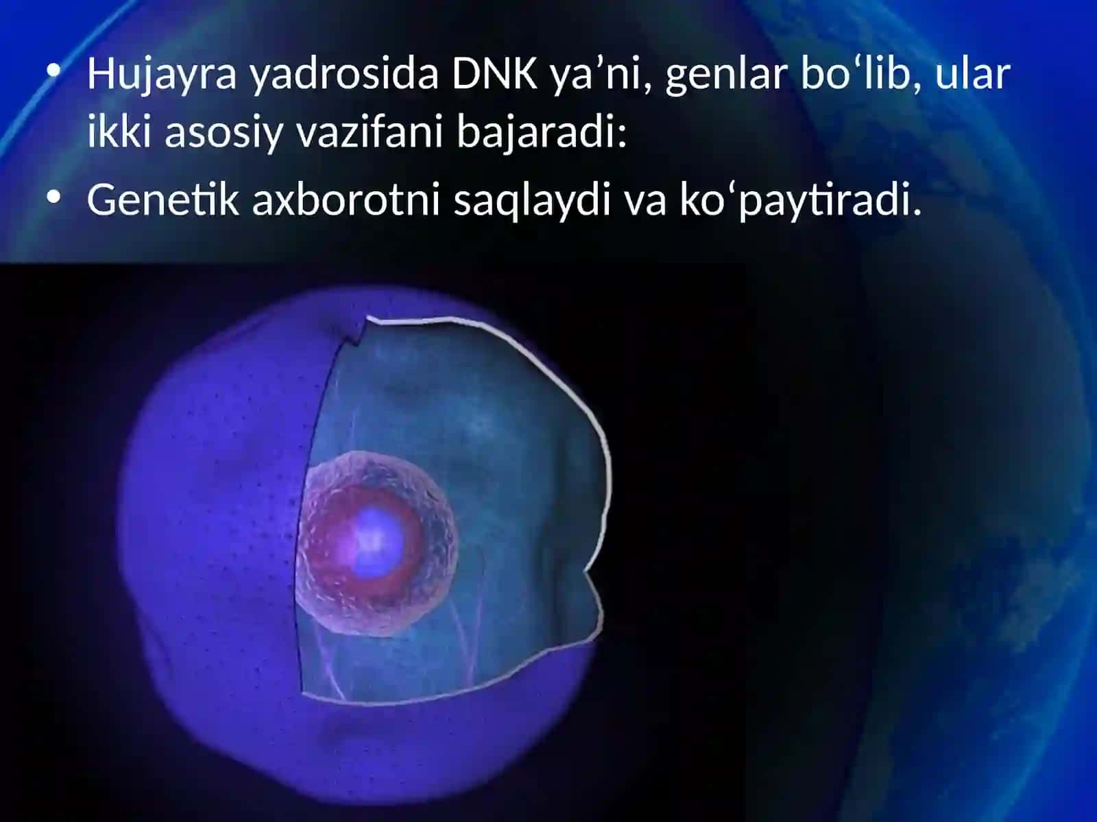 14- §.Yadro 3