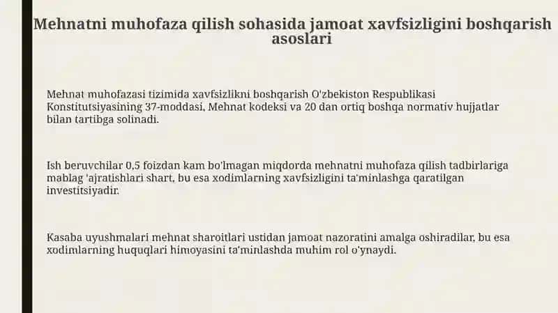 Mehnat muhofazasi sohasida jamoat xavfsizligini boshqarish tizimi 3