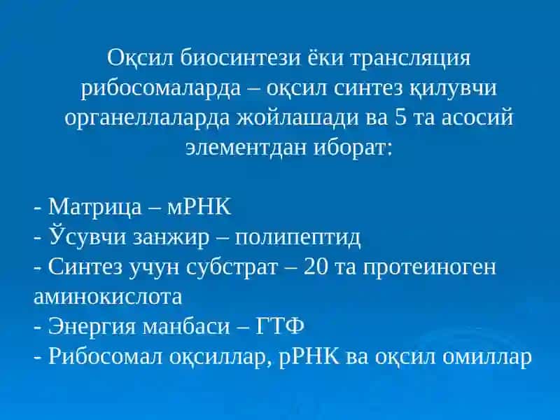 Оқсил биосинтез 3