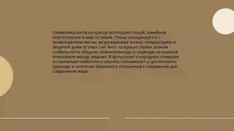 Аист на крыше-Мир на земле 3