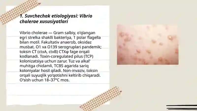Suvchechak va Tuberkulyoz 3