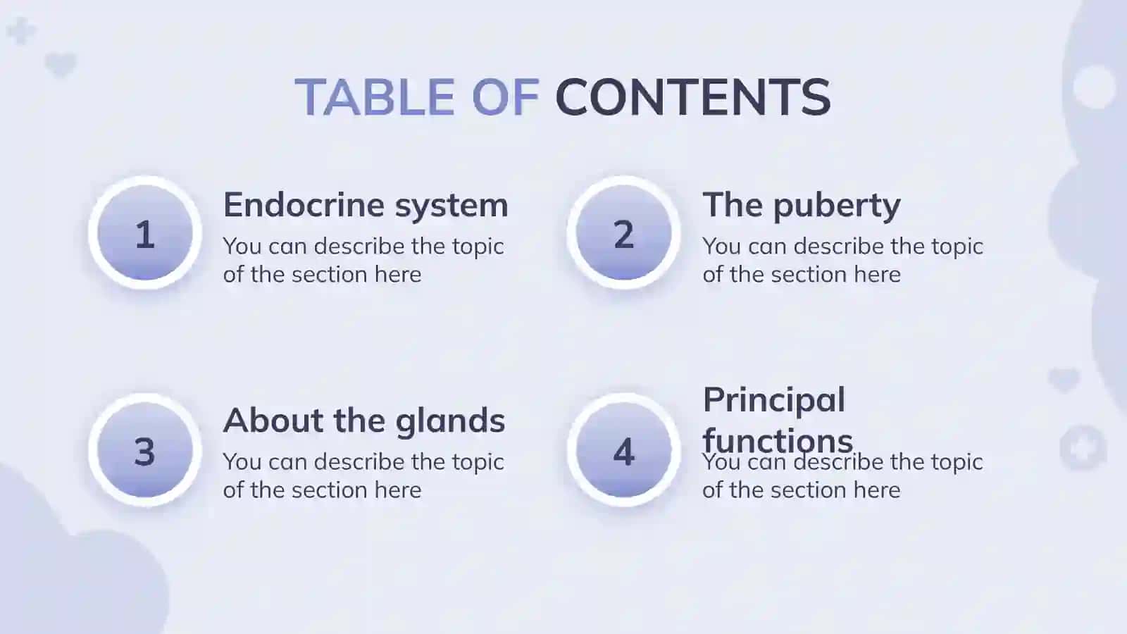 Endocrine System 3
