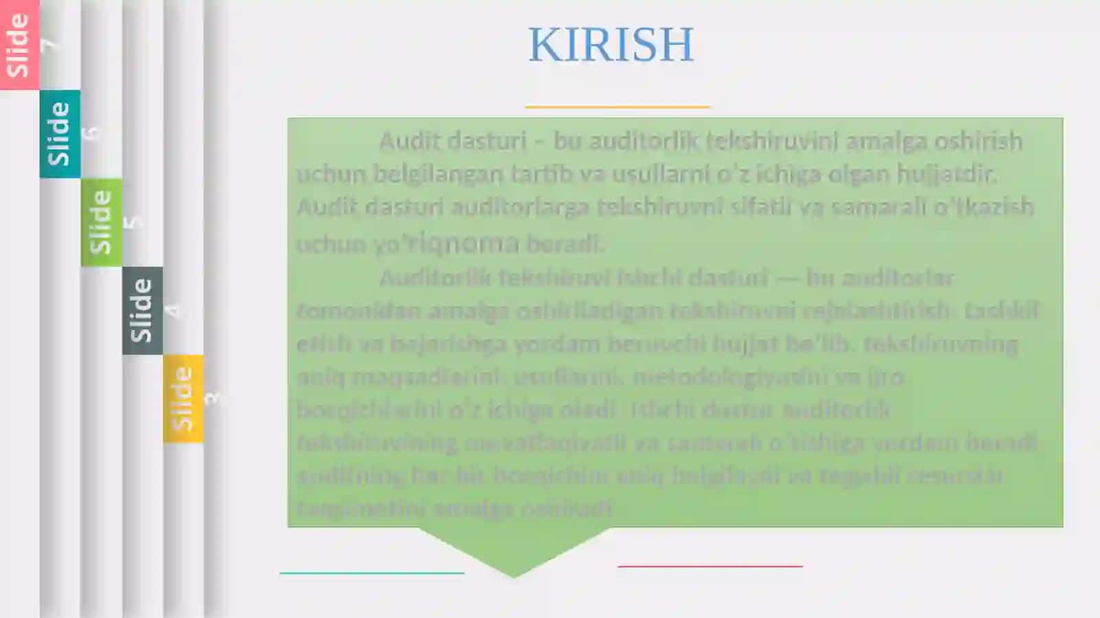 AUDITORLIK TEKSHIRUVI ISHCHI DASTURI 3