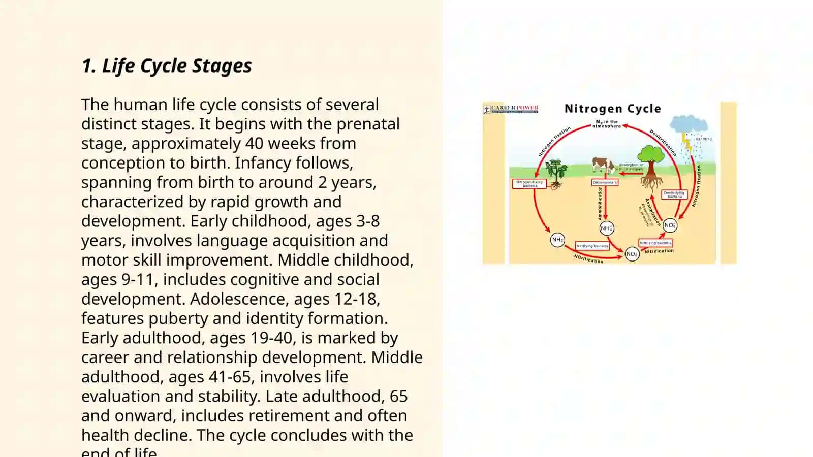 Cycle diagrams 3