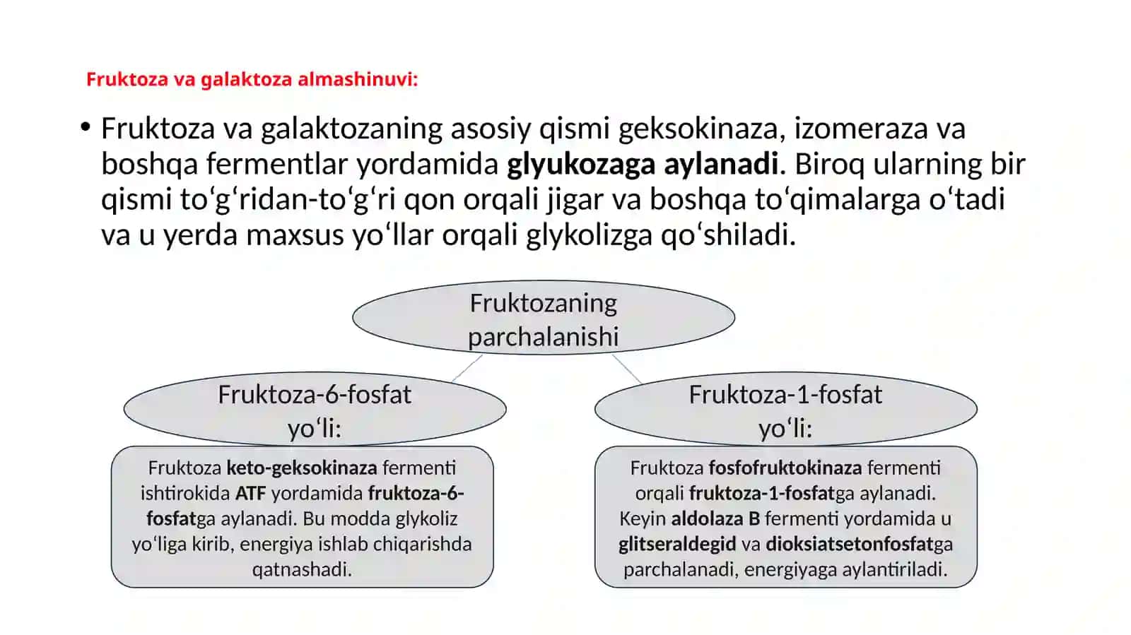Glukoneogenez prezentatsiya 3