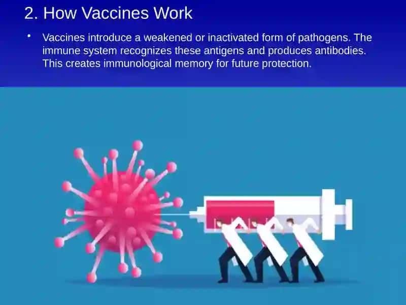The Importance of Vaccination 3