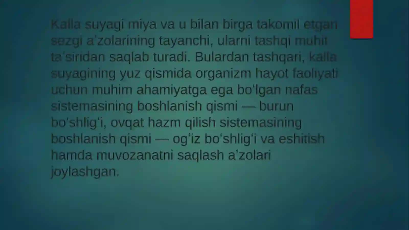 Yuz suyaklari 3