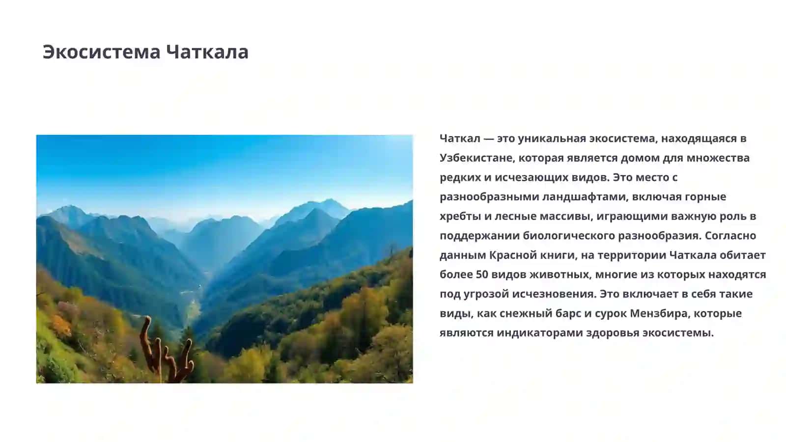 Чаткал 3