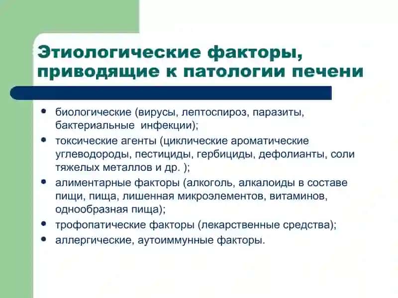 Патофизиология печени 3