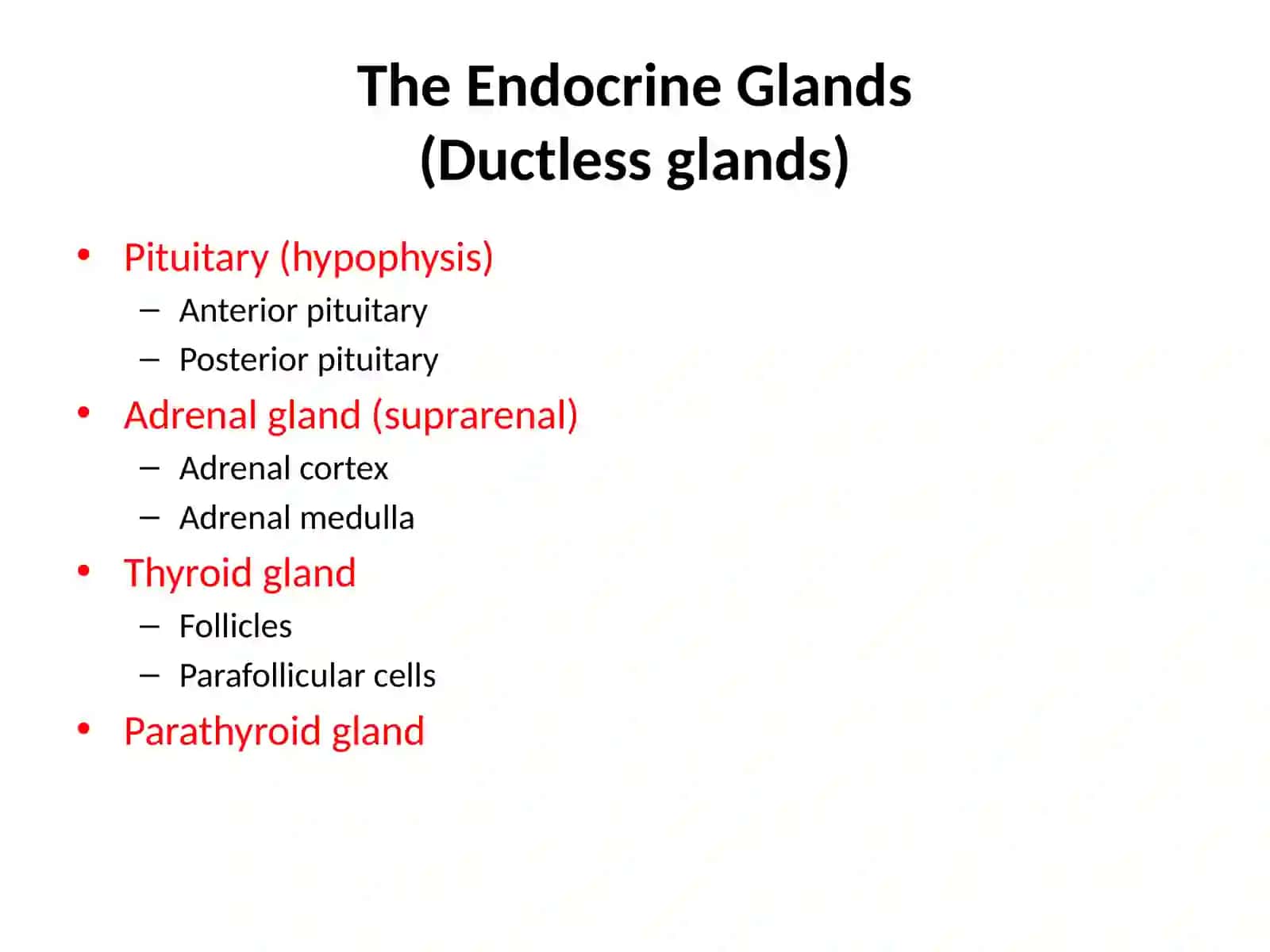 Endocrine glands histology 3