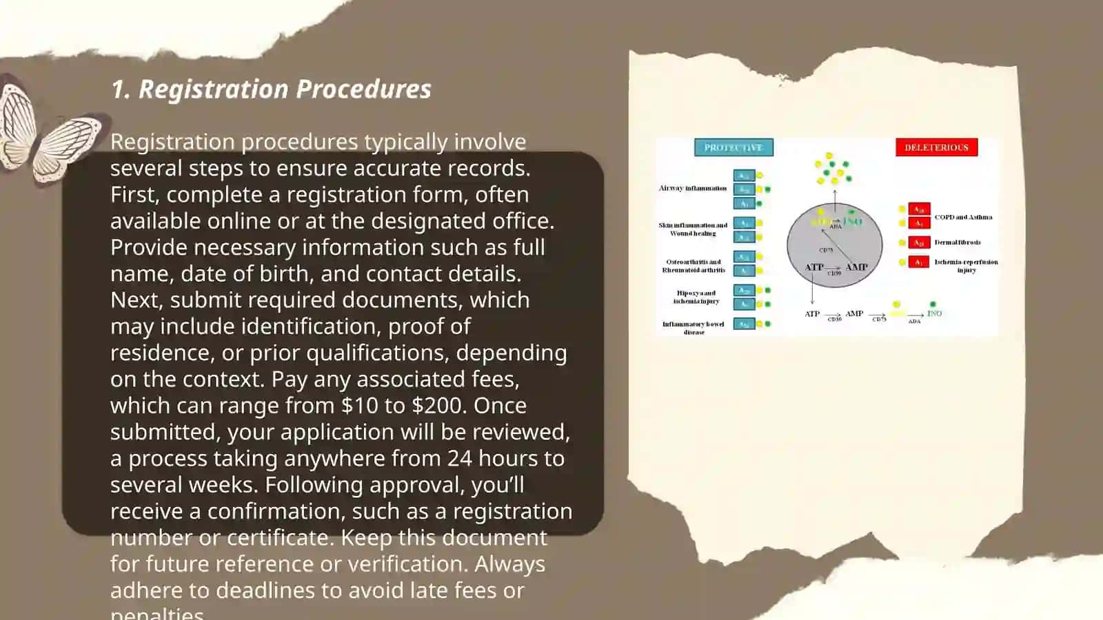 Registration Procedures 3