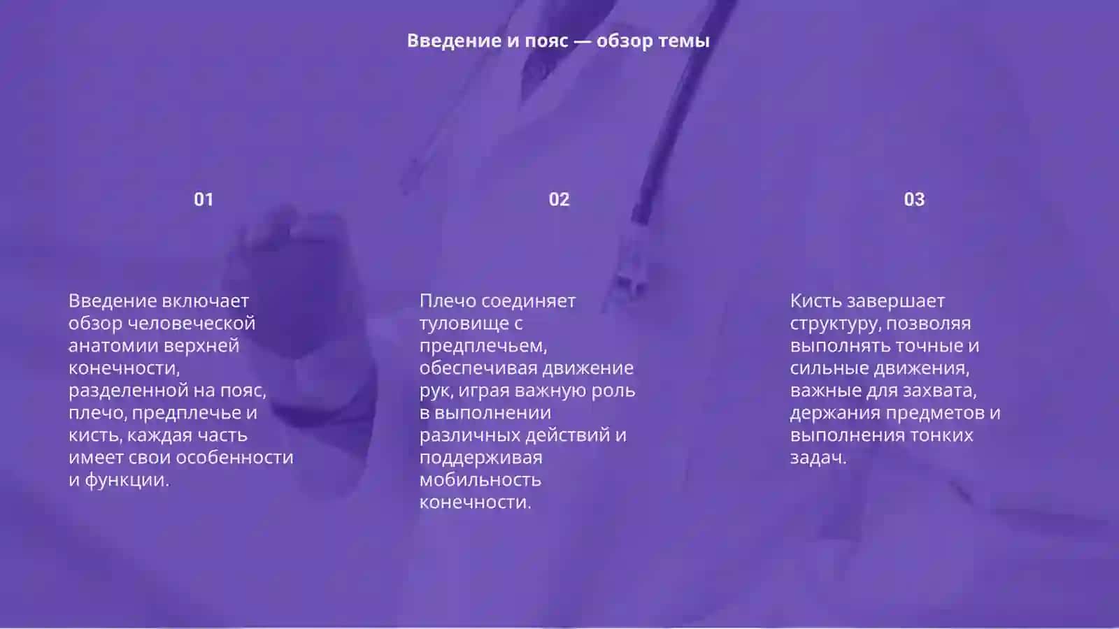 Анатомия плеча 3