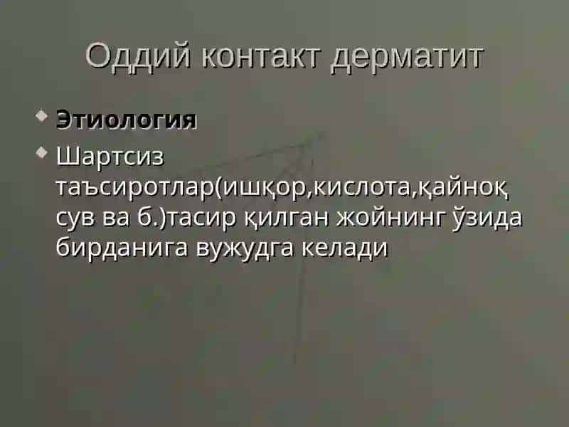 Дерматитлар 3