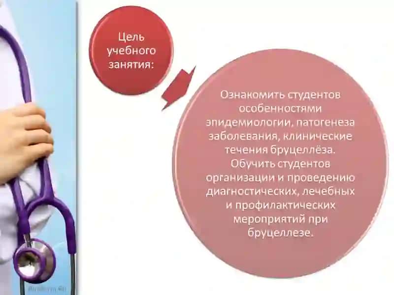 БРУЦЕЛЛЕЗ 3