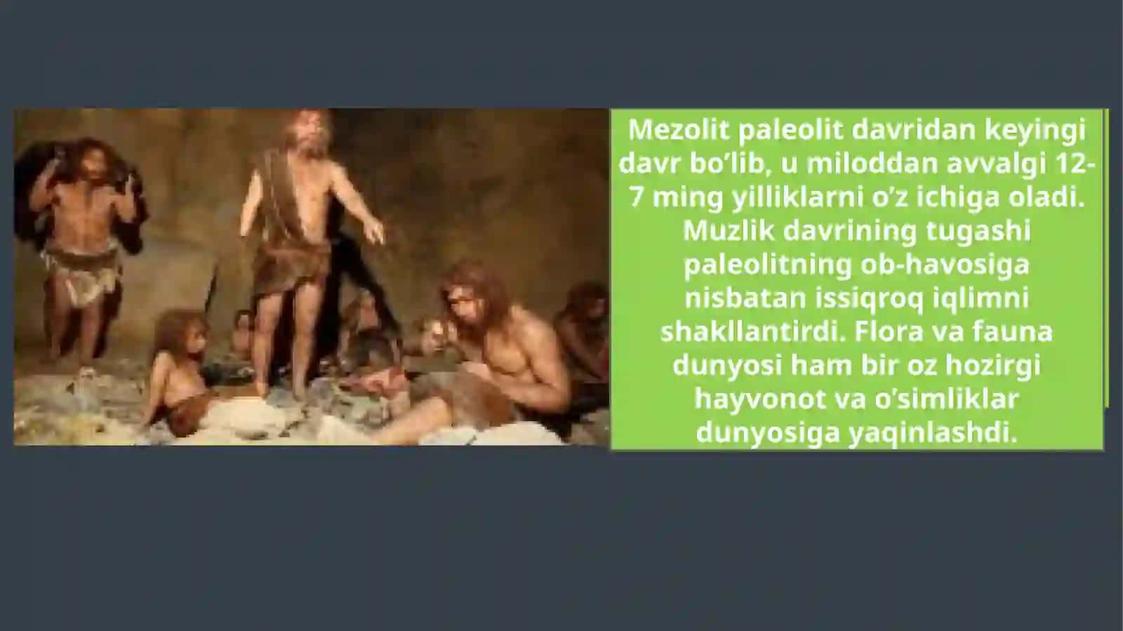 Mezolit davri 3