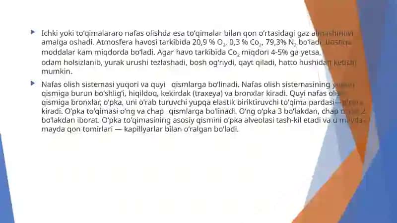 NAFAS OLISH TIZIMI ANATOMIYASI, FIZIOLOGIYA VA FUNKSIYALARI 3