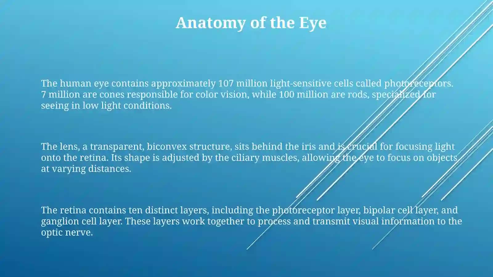 Theeye 3
