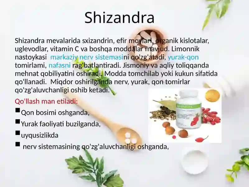 Shizandra (limonnik) mevalari 3