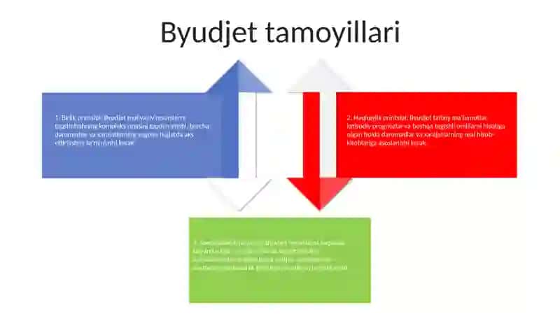 Byudjet Tizimi 3