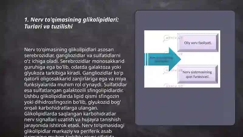 Neyromediatorlar biosintezi 3
