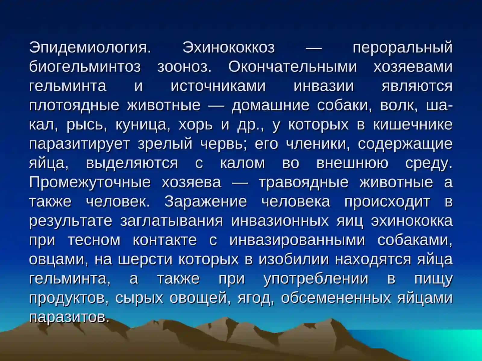 Эхинококкоз 3