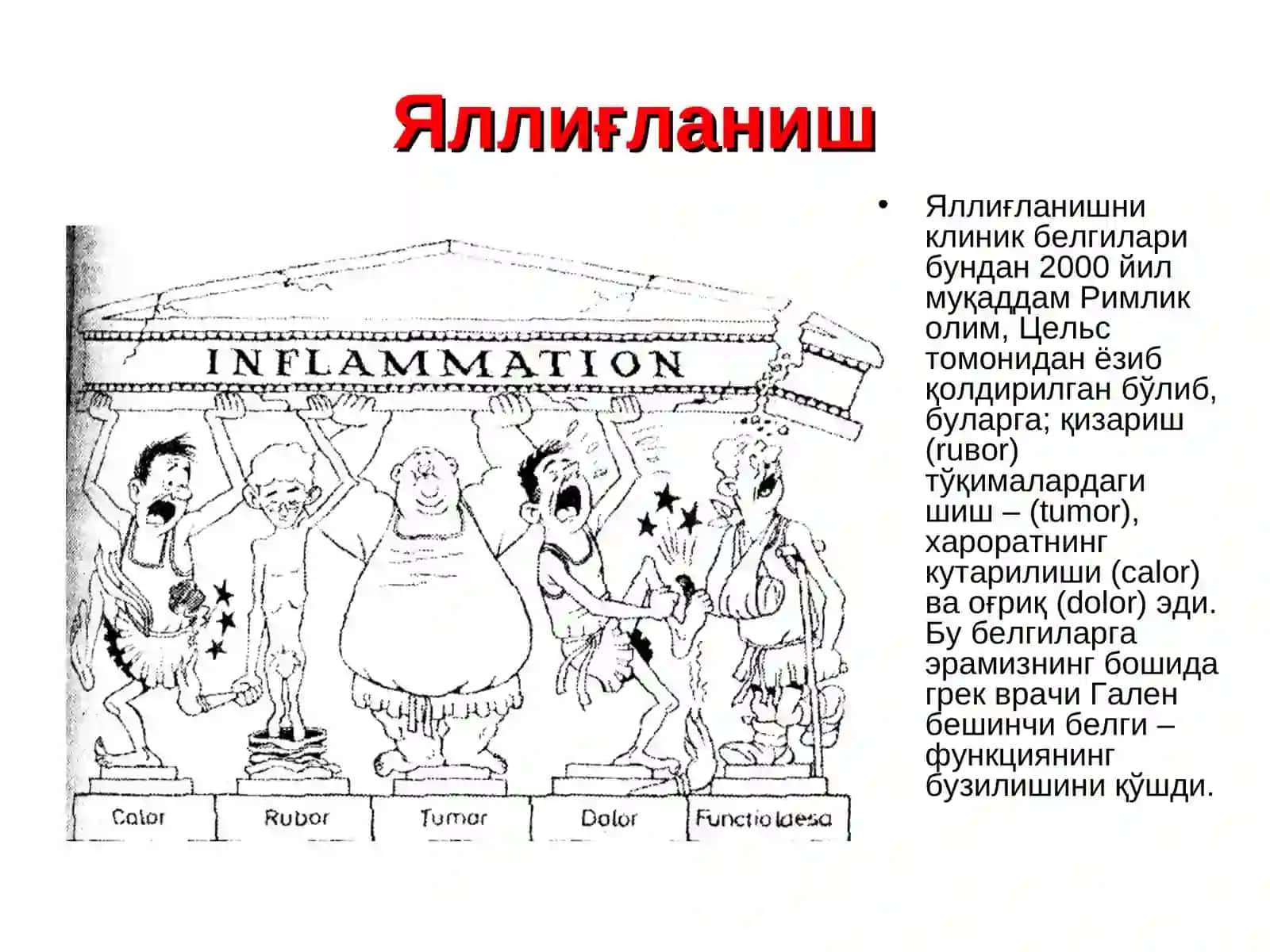 Яллиғланиш ва репарация 3