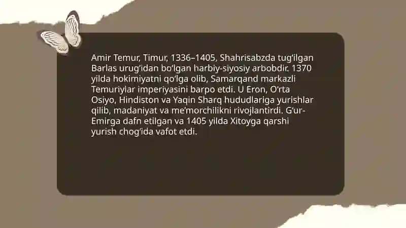 Amir Temur 3