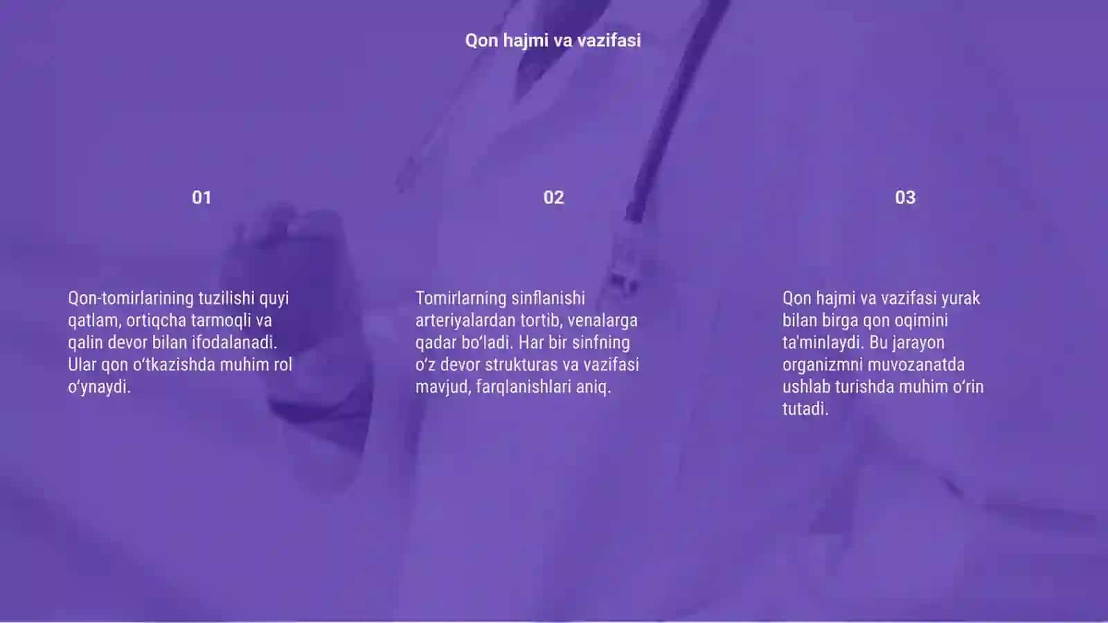 Qon-tomirlarining tuzilishi 3