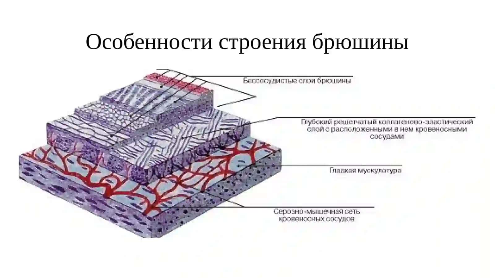 Перитонеальный диализ 3