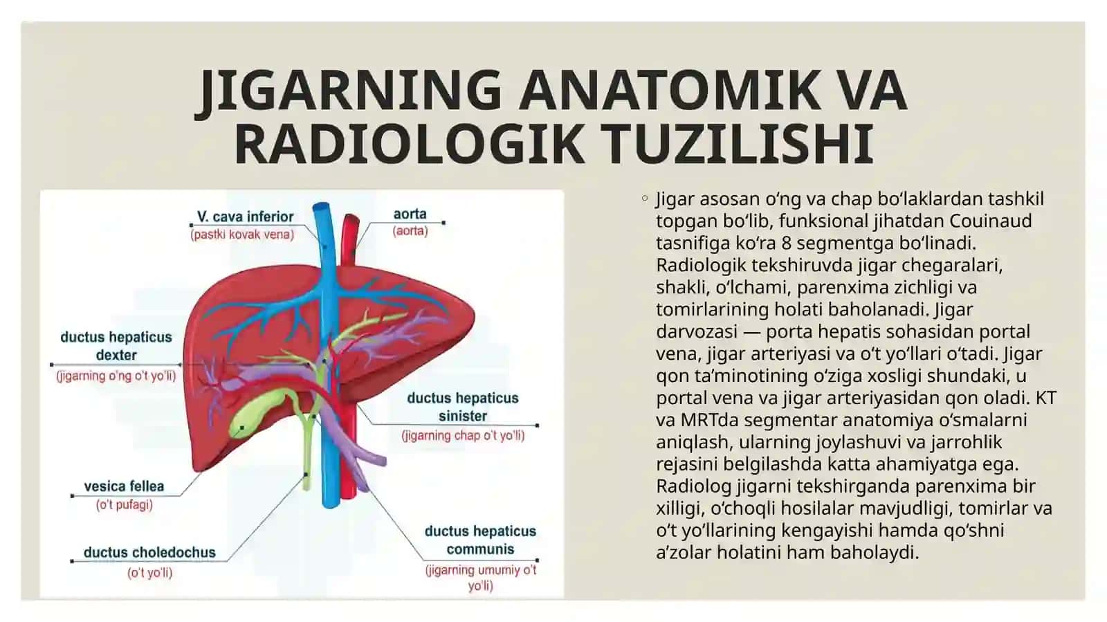 Radiologiyada jigar 3